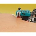 Станок кромкооблицовочный PEB200TRC